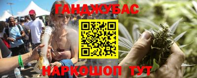 дмт Славгород