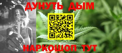 дмт Славгород