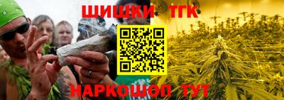 дмт Славгород